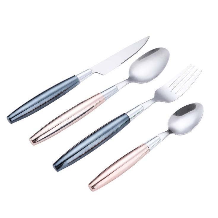 WJF305 Model Plastic Handle Flatware