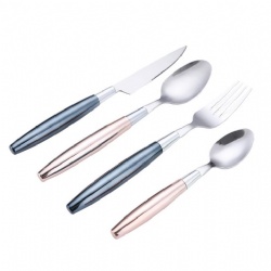 WJF305 Model Plastic Handle Flatware