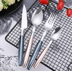 WJF305 Model Plastic Handle Flatware