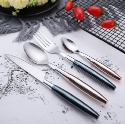 WJF305 Model Plastic Handle Flatware