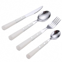 WJF313 Model Plastic Handle Flatware